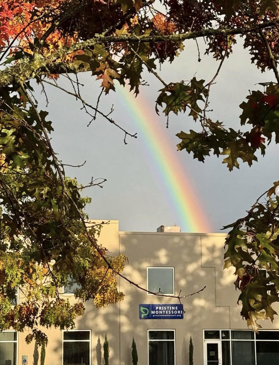 a rainbow over Pristine Montessori